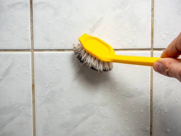 Best Residential Mold Remediation in Huntsville, TX