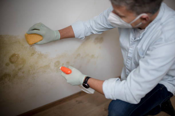 Huntsville, TX Mold Remediation Company