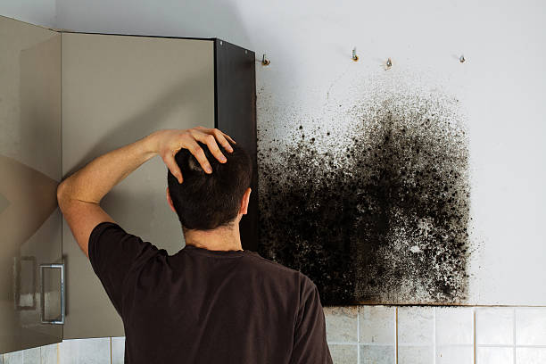 Best Mold Remediation for Specific Building Types in Huntsville, TX